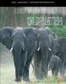 Leven in een kudde olifanten - Richard Spilsbury ; Louise Spilsbury - 9789055663774