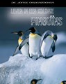 Leven in een kolonie pinguins - Richard Spilsbury ; Louise Spilsbury - 9789055663798
