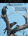 Leven in een groep kraaien - Richard Spilsbury ; Louise Spilsbury - 9789055663804