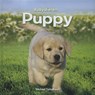 Puppy - Michael Teitelbaum - 9789055667819