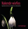 Nakende wiefies - Jent Hadderingh - 9789065092373