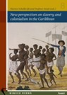 New perspectives on slavery and colonialism in the Caribbean - Marten Schalkwjk ; Stephen Small - 9789074897594