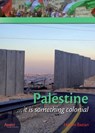 Palestine - Hatem Bazian - 9789074897815