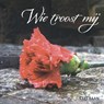 Wie troost mij - Cees Baan - 9789078211280