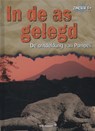 In de as gelegd - Mary Lindeen - 9789086640973