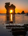 1001 Words Gotland - Annette Nordberg - 9789181341881