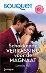 Schokkende verrassing voor de magnaat - Lorraine Hall - 9789402575842