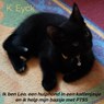 Ik ben Leo, een hulphond in een kattenjasje en ik help mijn baasje met PTSS - K. Eyck - 9789403626918