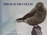 THUIS & NIET PLUIS thuisfrontgedichten - Pieternelletje Werners - 9789403745589