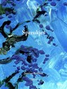 Spreukjes - Jonatan Beeftink - 9789403836669