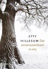 Dat onverwoestbare in mij - Etty Hillesum - 9789460038358