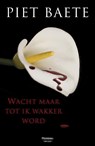 Wacht maar tot ik wakker word - Piet Baete - 9789460411205