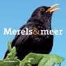 Merels & meer - Henk Meeuwsen - 9789461495556
