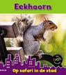Eekhoorn - Isabel Thomas - 9789461753007