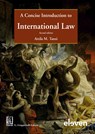 A Concise Introduction to International Law - Atilla M. Tanzi - 9789462363397