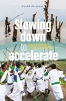 Slowing down to accelerate - Corné de Louw - 9789463015431