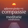Meditatie ademruimte met compassie - Mindfulness - Suzan van der Goes - 9789463270649