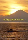 In ûngrypber bestean - Rients Aise Faber - 9789464356977