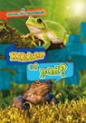 Kikker of pad? - Kirsten Chang - 9789464392074