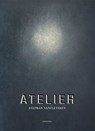 Atelier Stephan Vanfleteren - Stephan Vanfleteren - 9789464666564