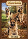 Kleurboek, Honden - H. Mourits - 9789465200484