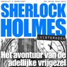 Het avontuur van de adellijke vrijgezel - Arthur Conan Doyle - 9789491159473
