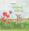 Vandaag is het zondag - Jaap van Oostrum - 9789491535352
