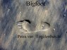 Bigfoot - Petra van Engelenburcht - 9789492719157