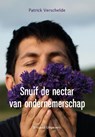 Snuif de nectar van ondernemerschap - Patrick Verschelde - 9789493292093