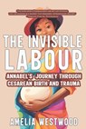 The Invisible Labour: Annabel's Journey Through Cesarean Birth and Trauma - Jessica Hische - 9789814541534