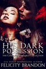 His Dark Possession - Felicity Brandon - 9798201061616