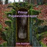 Prince Pugawulamukapee - Dale Stubbart - 9798201132712