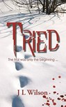 Tried - J L Wilson - 9798201520892