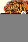 Thrilling Tales of Modern Men: Stories - Danny McBride - 9798217509393