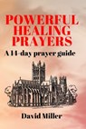 Powerful Healing Prayers: A 14-day prayer guide - David Miller - 9798327653160