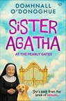 Sister Agatha at the Pearly Gates - Domhnall O'Donoghue - 9798337208985