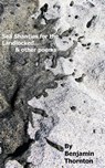Sea Shanties For The Landlocked... and other poems - Benjamin Thornton - 9798347425624