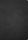 CSB Baker Illustrated Study Bible, Black Genuine Leather - Csb Bibles by Holman - 9798384540199