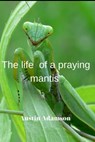 Тhe life of a praying mantis - Austin Adamson - 9798386291907