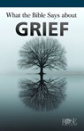 What the Bible Says About Grief - Rose Publishing - 9798400502750