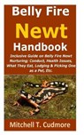 Belly Fire Newt Handbook - CUDMORE,  Mitchell T - 9798506886686