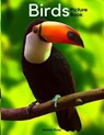 Birds: A picture book gift for Seniors with dementia or Alzheimer's patients Large Print (8.5 x 11 inches) - ROSS,  Emma - 9798643742111