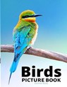 Birds: A picture book gift for Seniors with dementia or Alzheimer's patients Large Print (8.5 x 11 inches) New Edition - ROSS,  Emma - 9798643744955