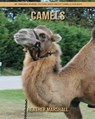 Camels - MARSHALL,  Heather - 9798737856915