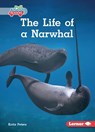 The Life of a Narwhal - Katie Peters - 9798765629314