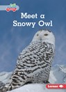 Meet a Snowy Owl - Katie Peters - 9798765629321