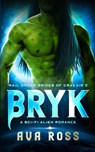 Bryk - Ava Ross - 9798869104762