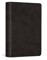 ESV Vest Pocket New Testament with Psalms and Proverbs, Red Letter - Esv Bibles - 9798874907358