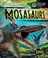 Mosasaurs - Kate Moening - 9798886872194