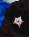 Georgia O'Keeffe: In New Light - Georgia O'Keeffe - 9798890181268